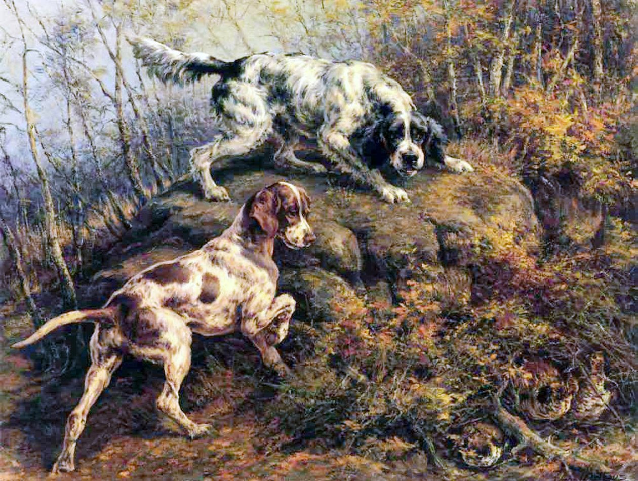 Pointer, Setter e Pernice da Edmund Henry Osthaus