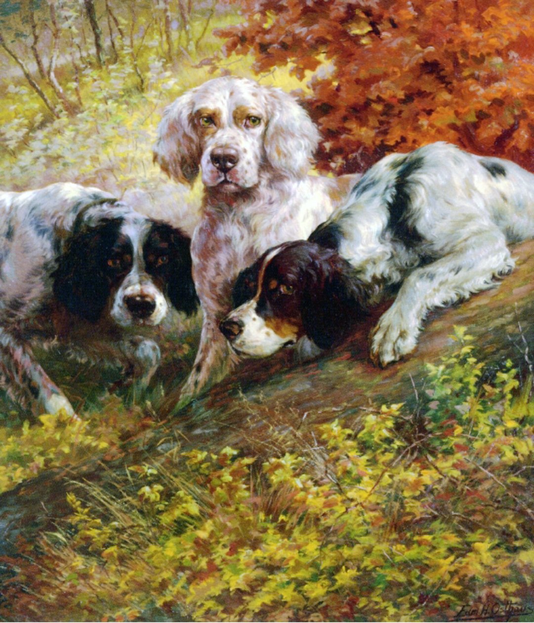 Setter da Edmund Henry Osthaus