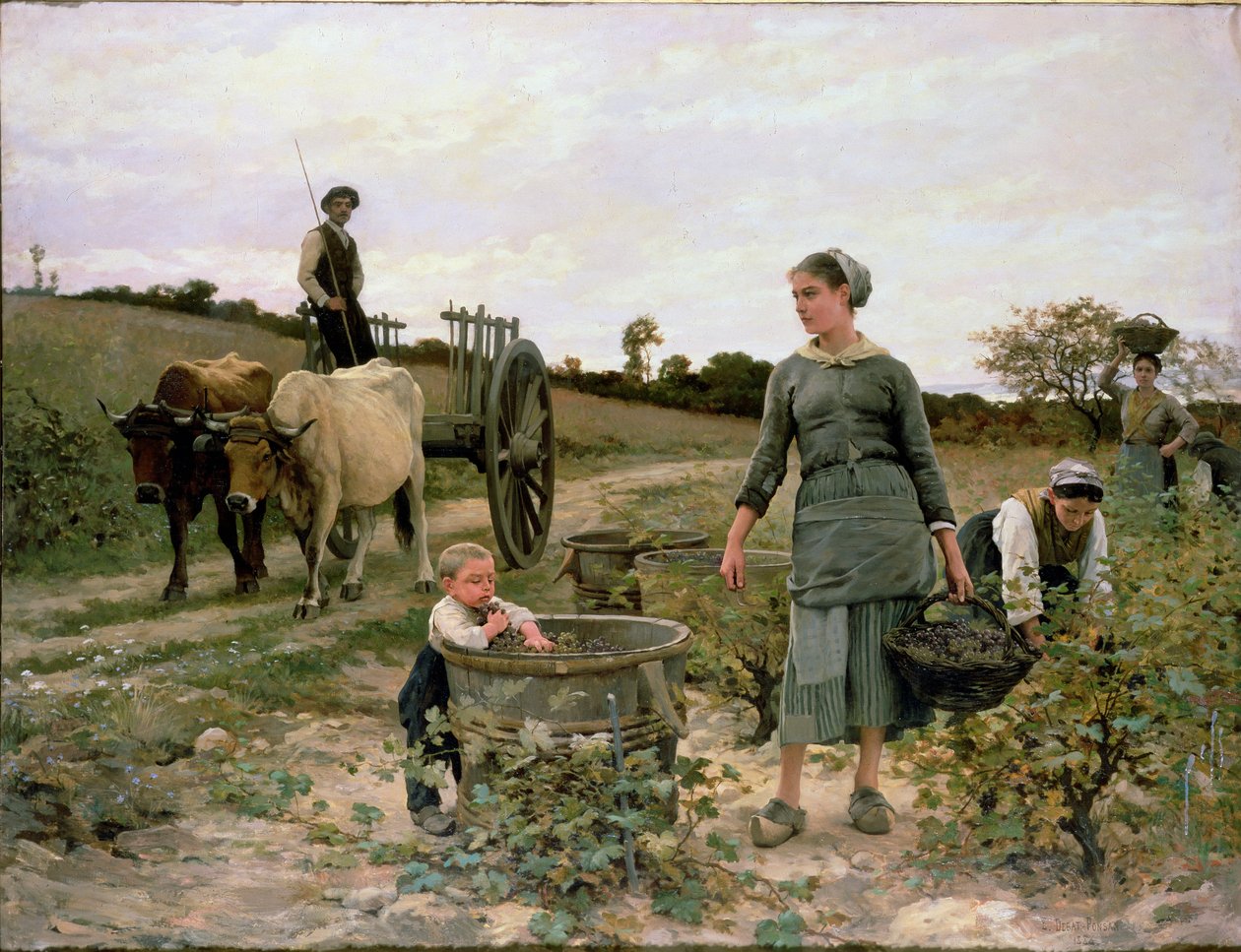 Angolo di un vigneto, Linguadoca, 1886 da Edouard Debat Ponsan