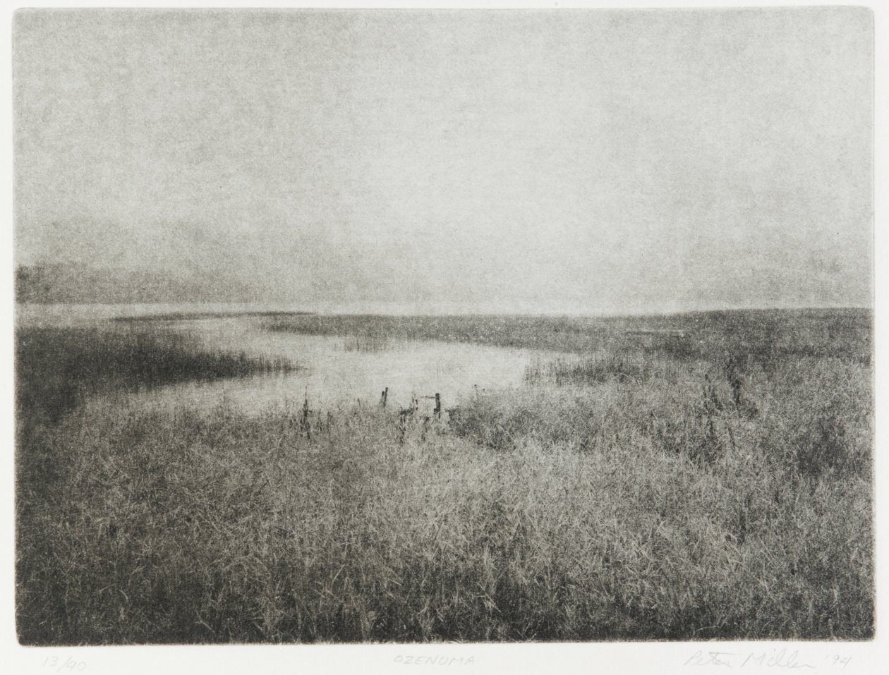 Ozenuma, 1994 da Edouard Cremieux