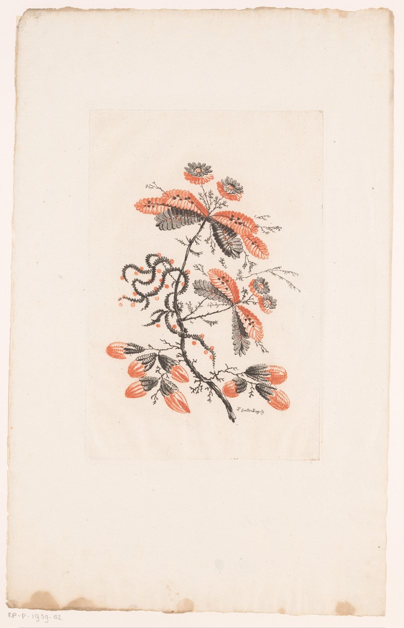Fiori e boccioli (Fleurs Idéalle) da Edouard Gautier Dagoty