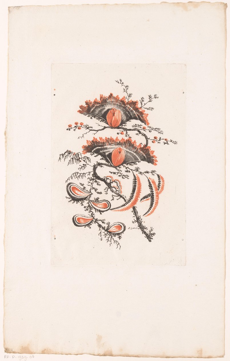 Fiori a ventaglio da Edouard Gautier Dagoty