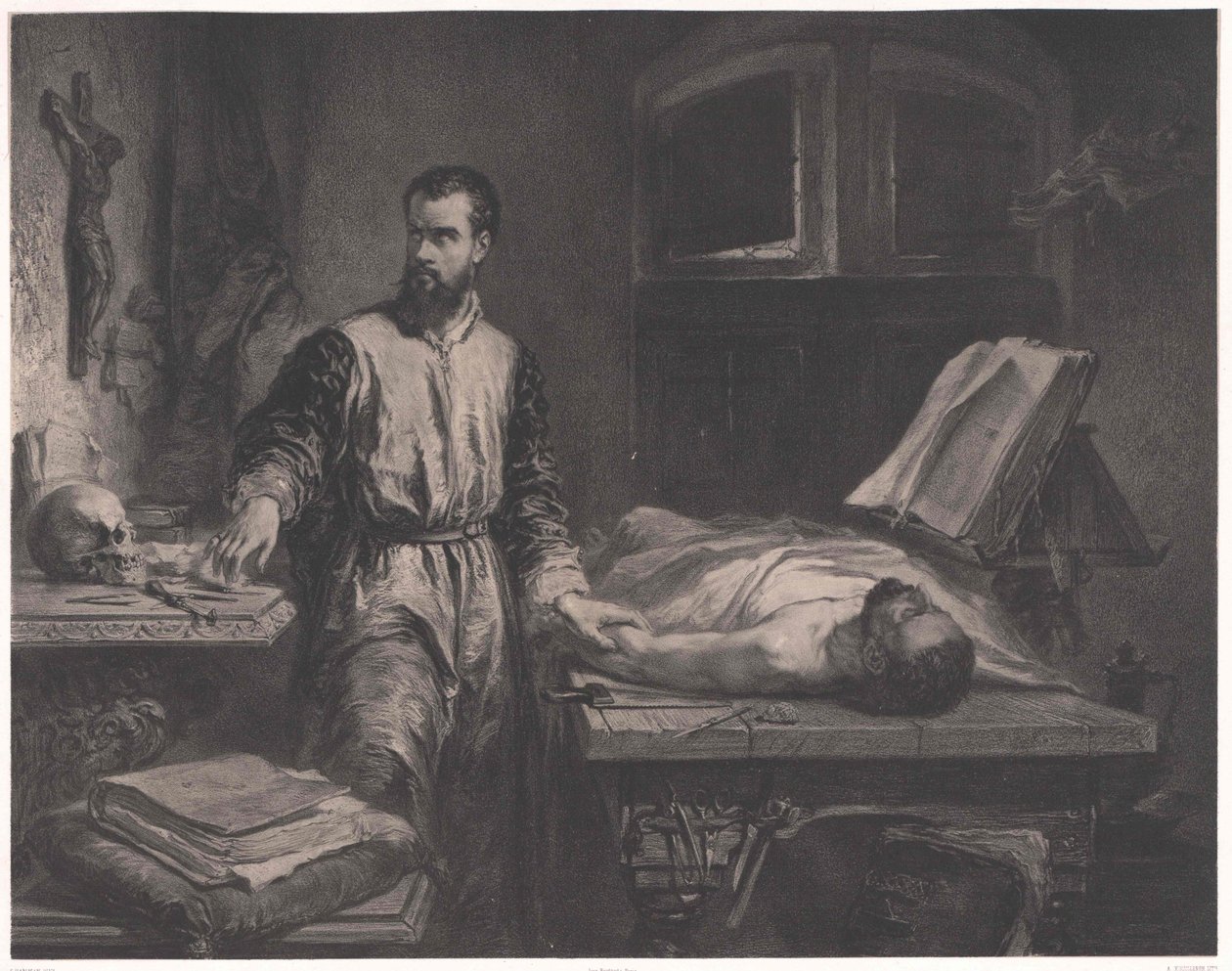Andrea Vesalio da Edouard Jean Conrad (after) Hamman