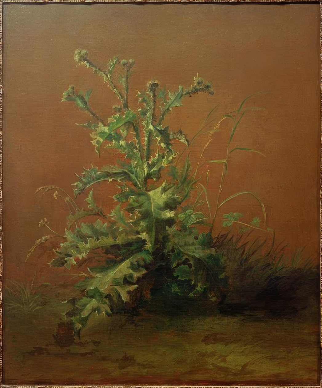 Il cardo da Édouard Manet