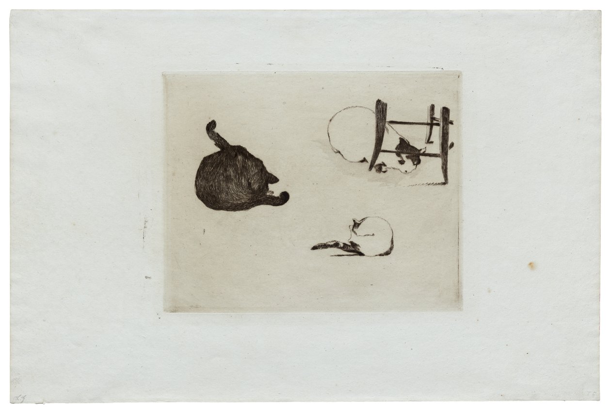 I gatti da Édouard Manet