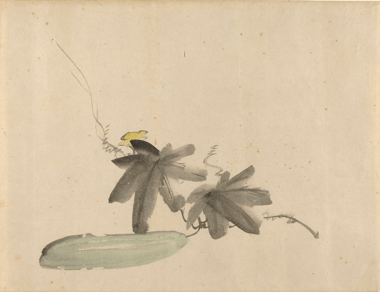 Manet - Cetriolo con foglie, 1880 ca. da Édouard Manet
