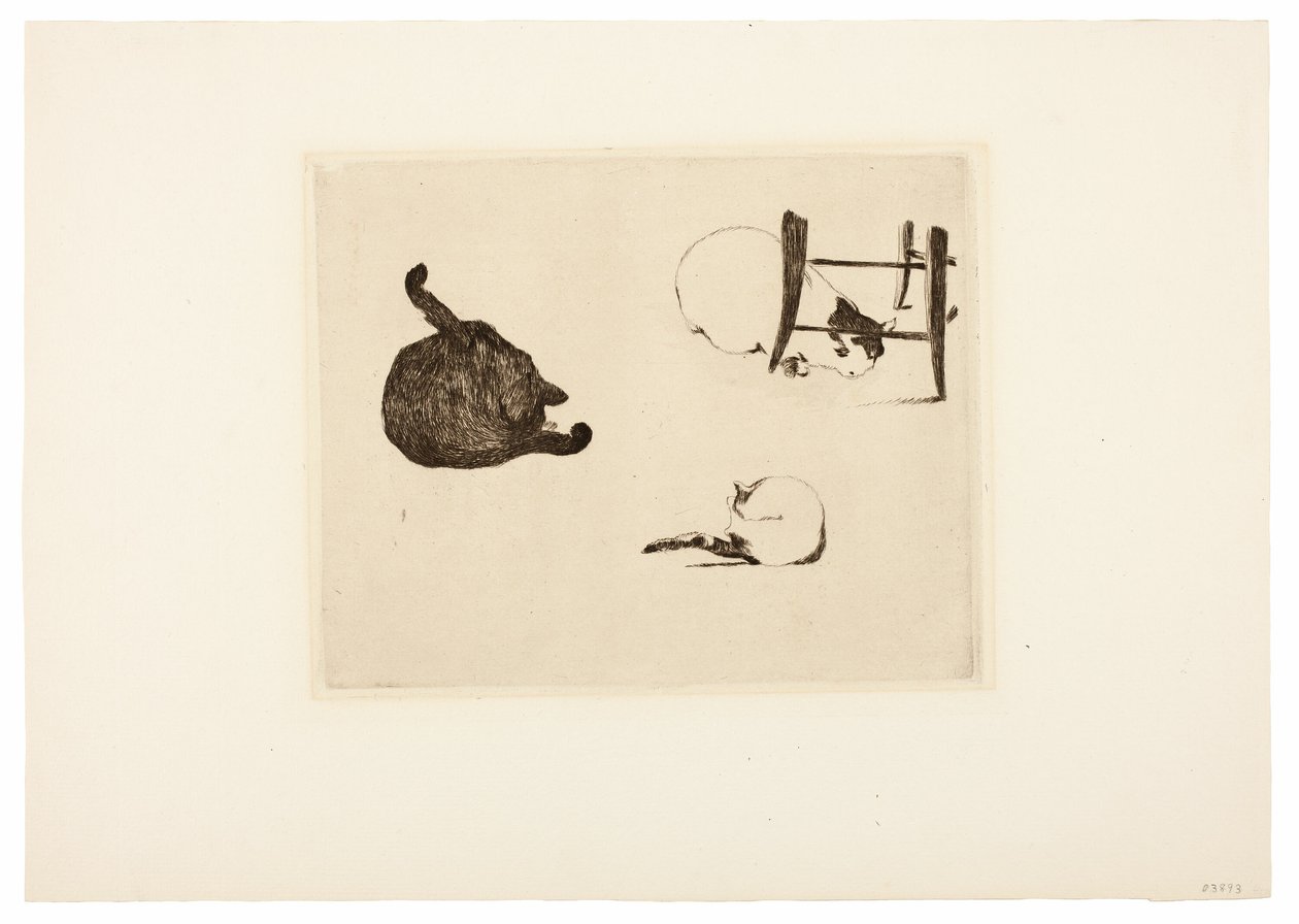 I gatti da Édouard Manet