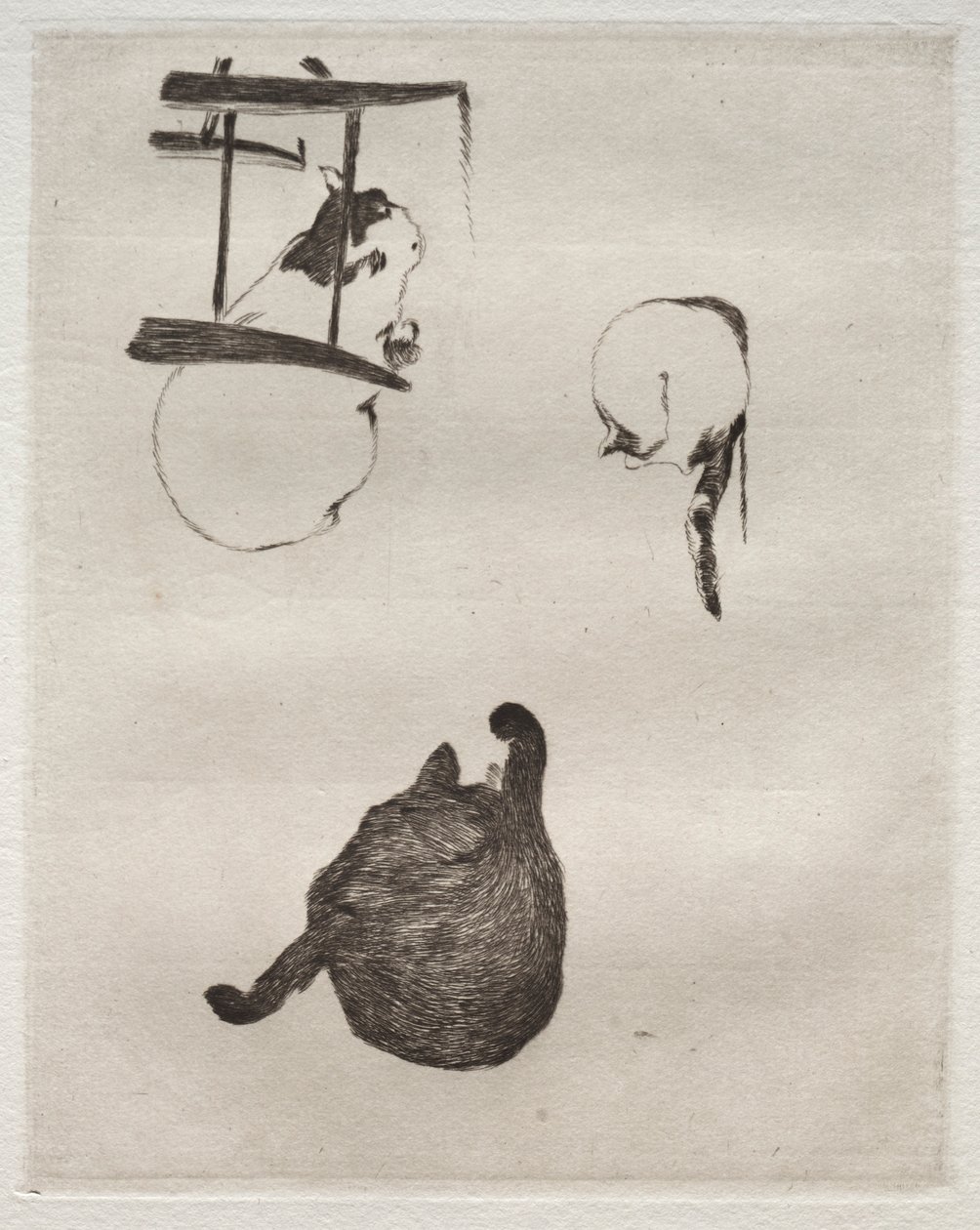 I gatti, 1868-1869 da Édouard Manet