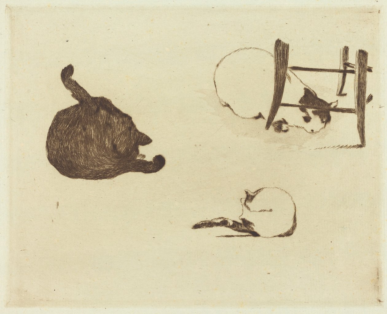 I Gatti, 1869 da Édouard Manet