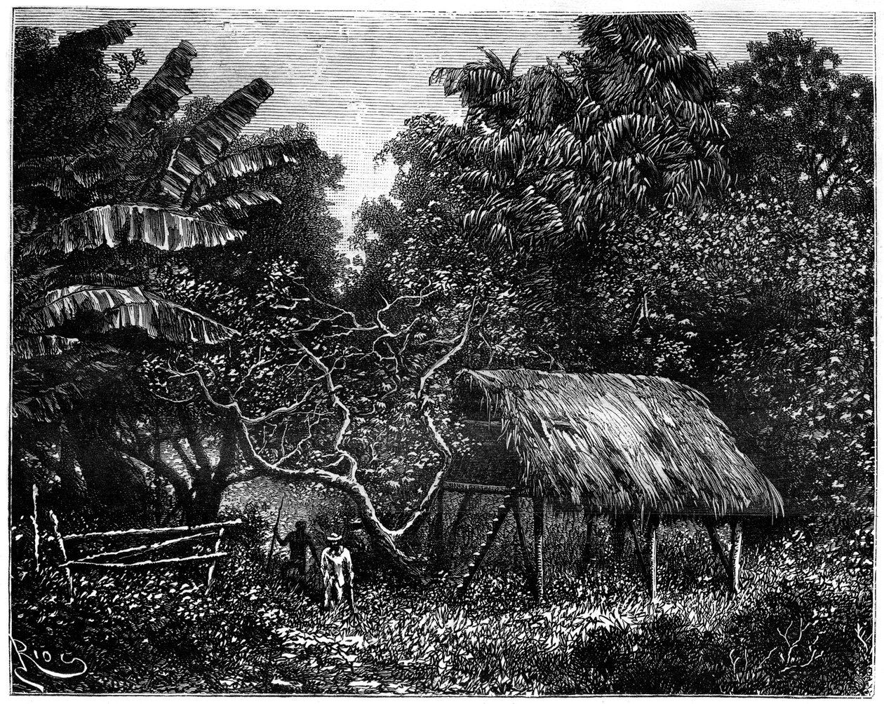 Guyana, Sud America, XIX secolo da Edouard Riou