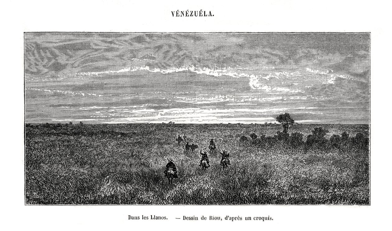 Los Llanos, Venezuela, XIX secolo da Edouard Riou