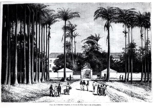 Place des Palmistes, Cayenne, Guyana da Edouard Riou