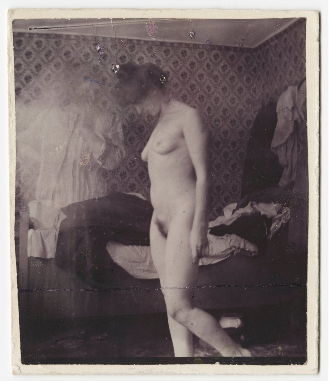 Rosa Meissner all
