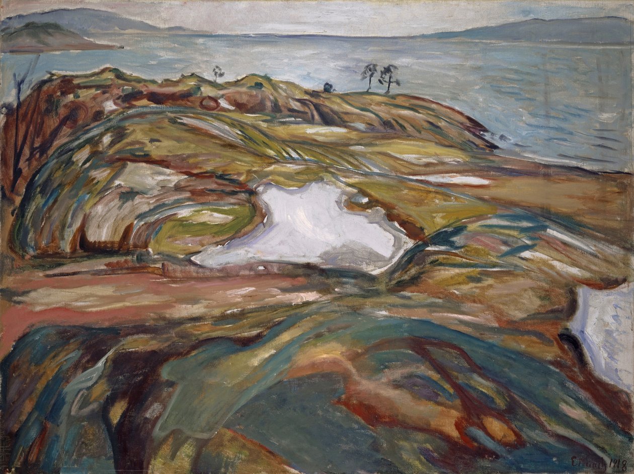 Paesaggio costiero da Edvard Munch