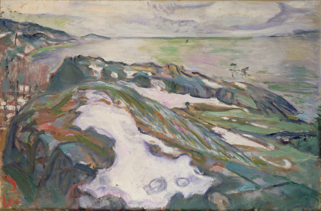 Paesaggio Invernale da Edvard Munch