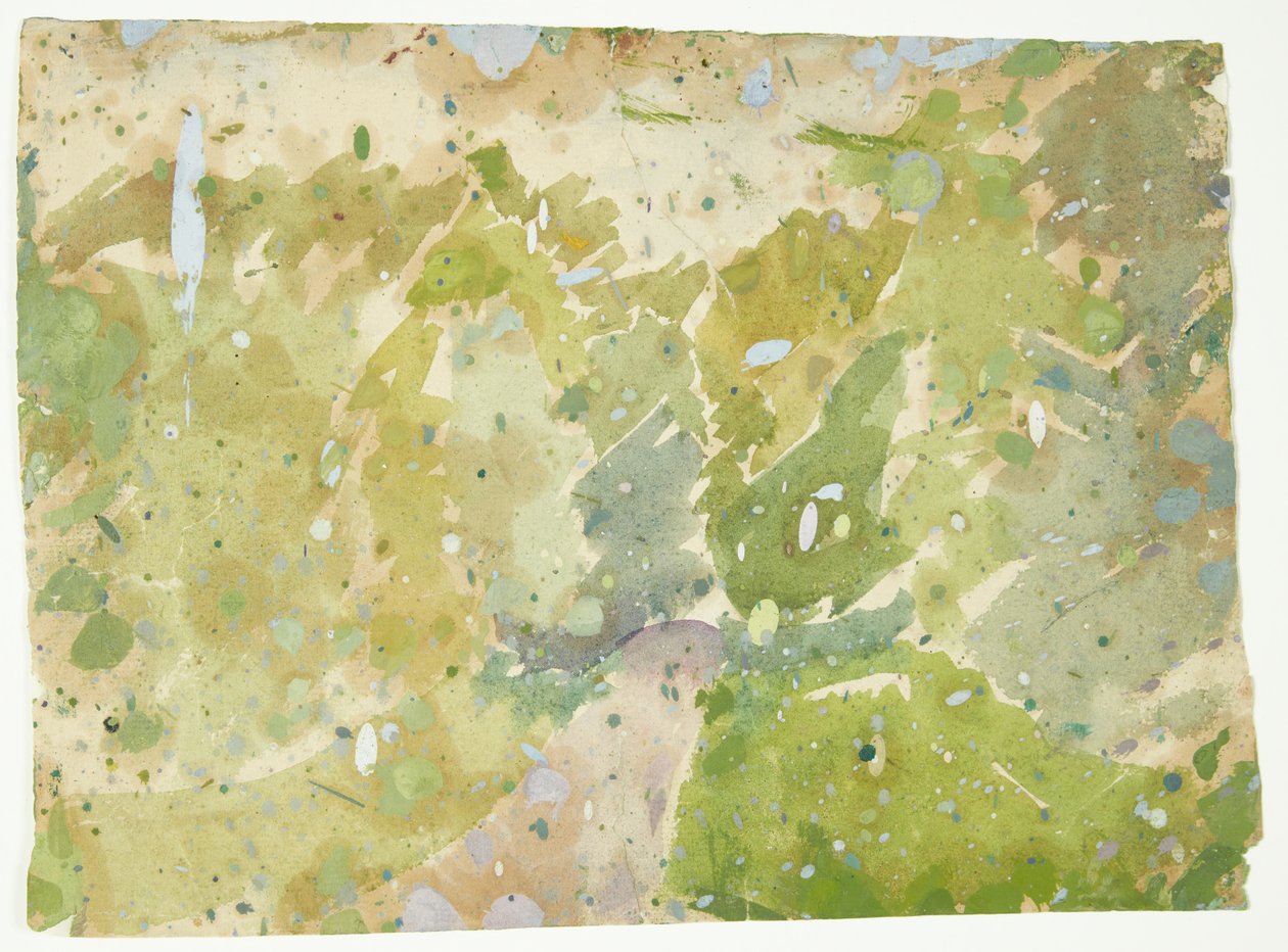 Studio di colore per Strada attraverso il bosco da Edvard Weie