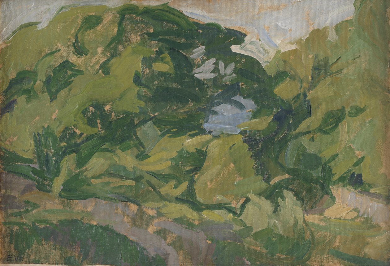 Paesaggio, Christiansø da Edvard Weie