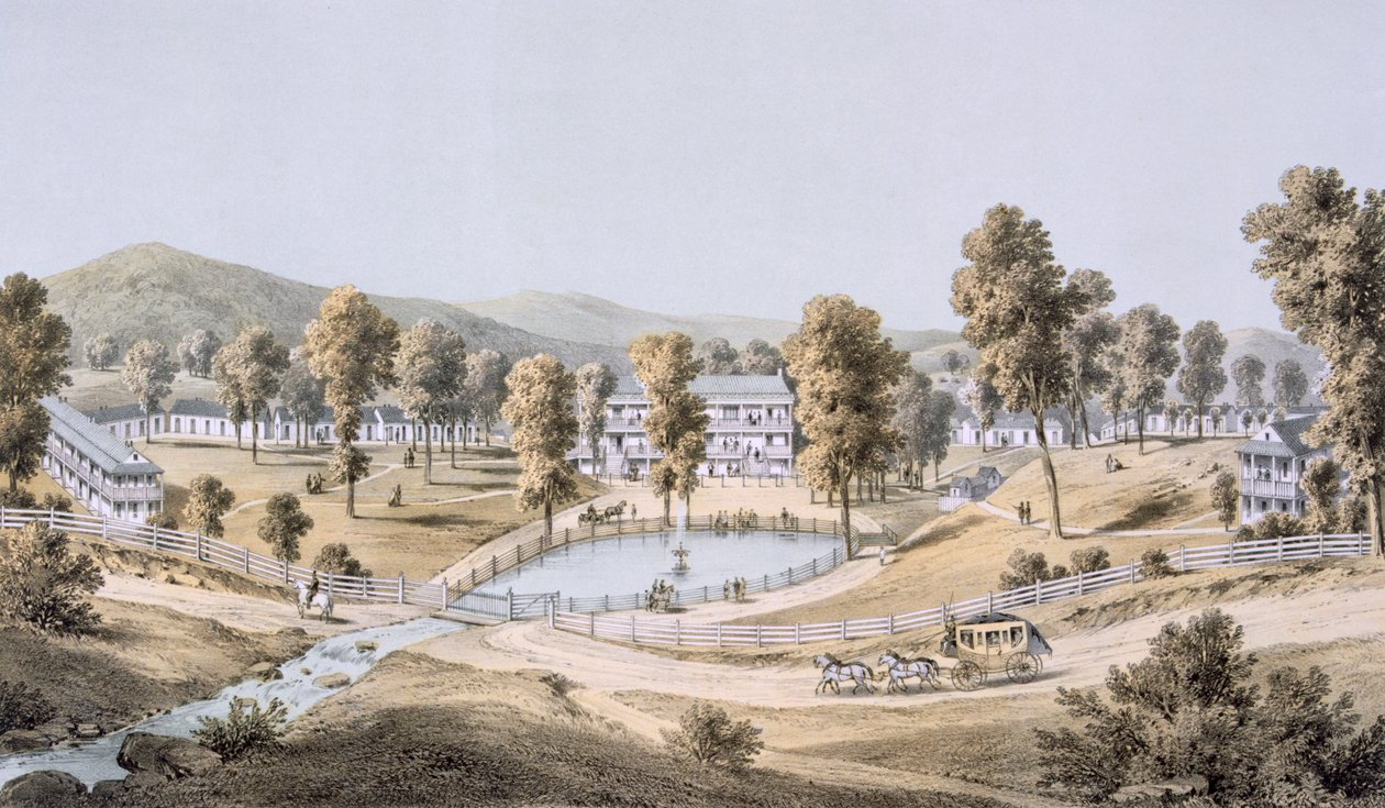 Yellow Sulphur Springs, Contea di Montgomery, 1858 da Edward Beyer