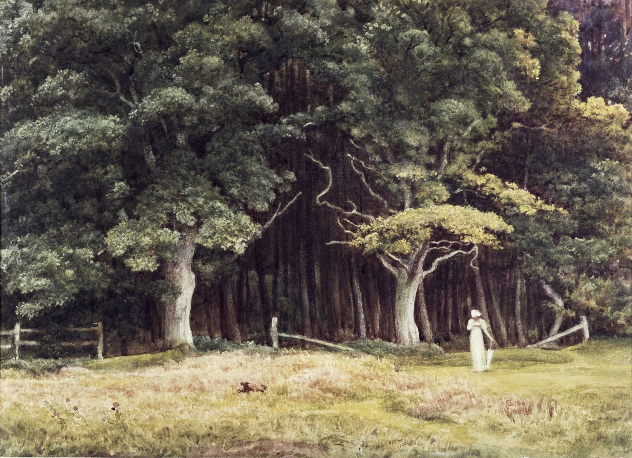 Il paesaggio boscoso da Edward John Poynter