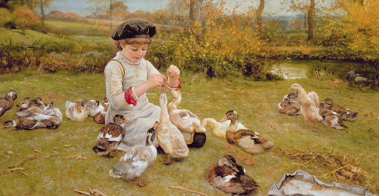 Dare da mangiare alle anatre da Edward Killingworth Johnson