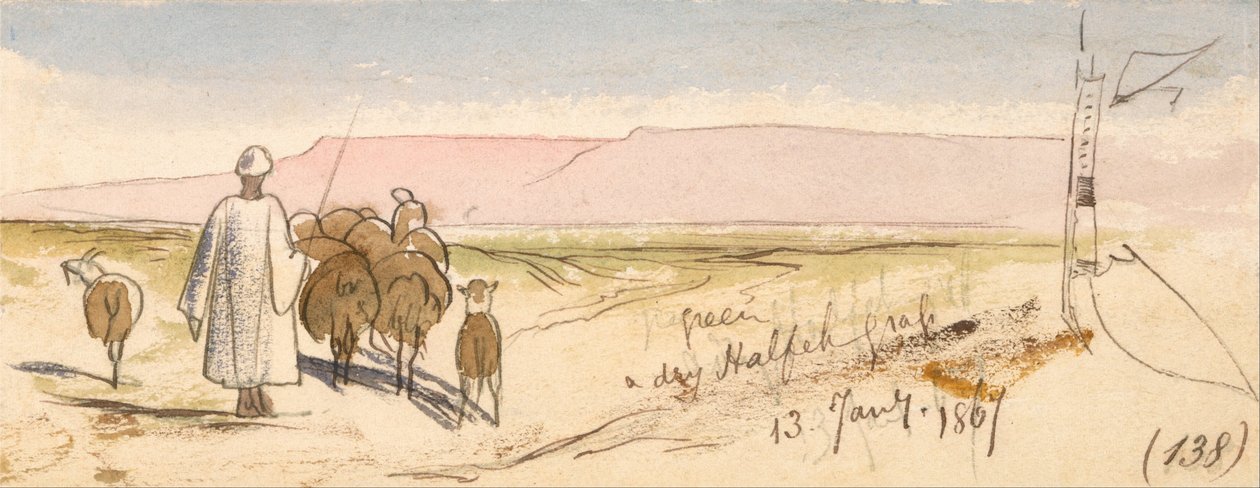 Erba secca di Halfeh da Edward Lear