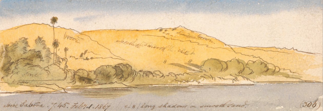 Sopra Sabooa da Edward Lear