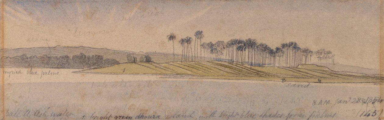 Isola Dhoura da Edward Lear