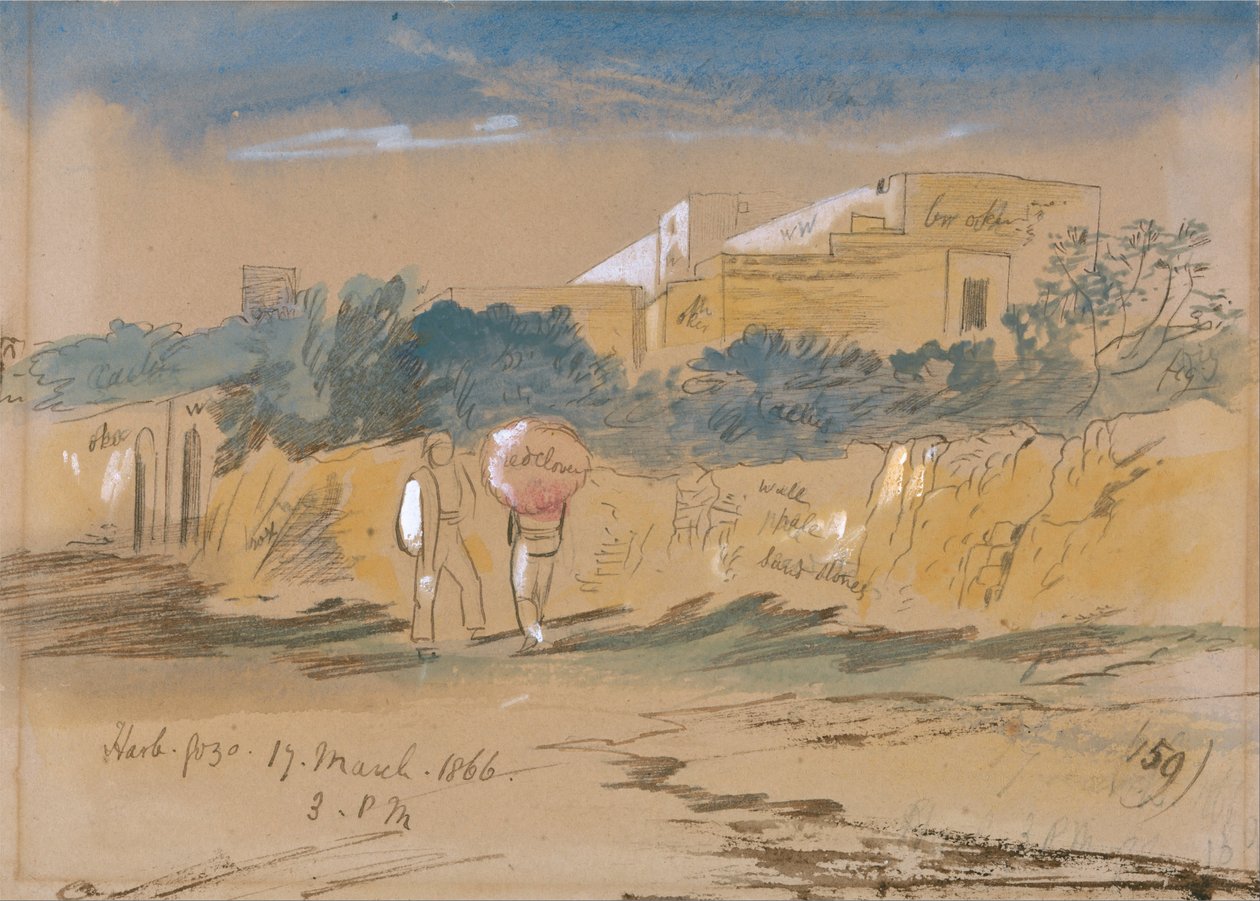 Harb. Gozo da Edward Lear