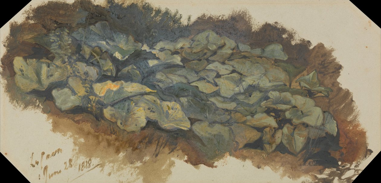 La Cava da Edward Lear