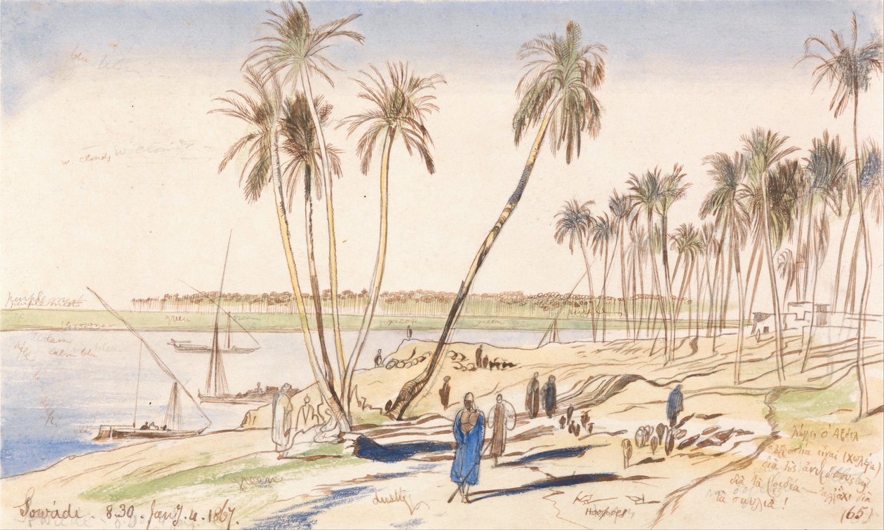 Sowadi, 4 gennaio 1867, ore 8:30 da Edward Lear