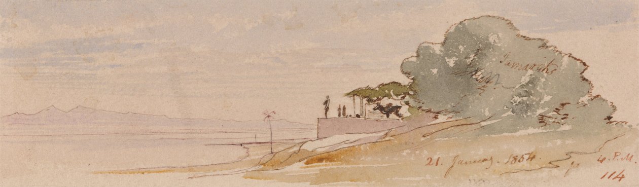 Tebe da Edward Lear