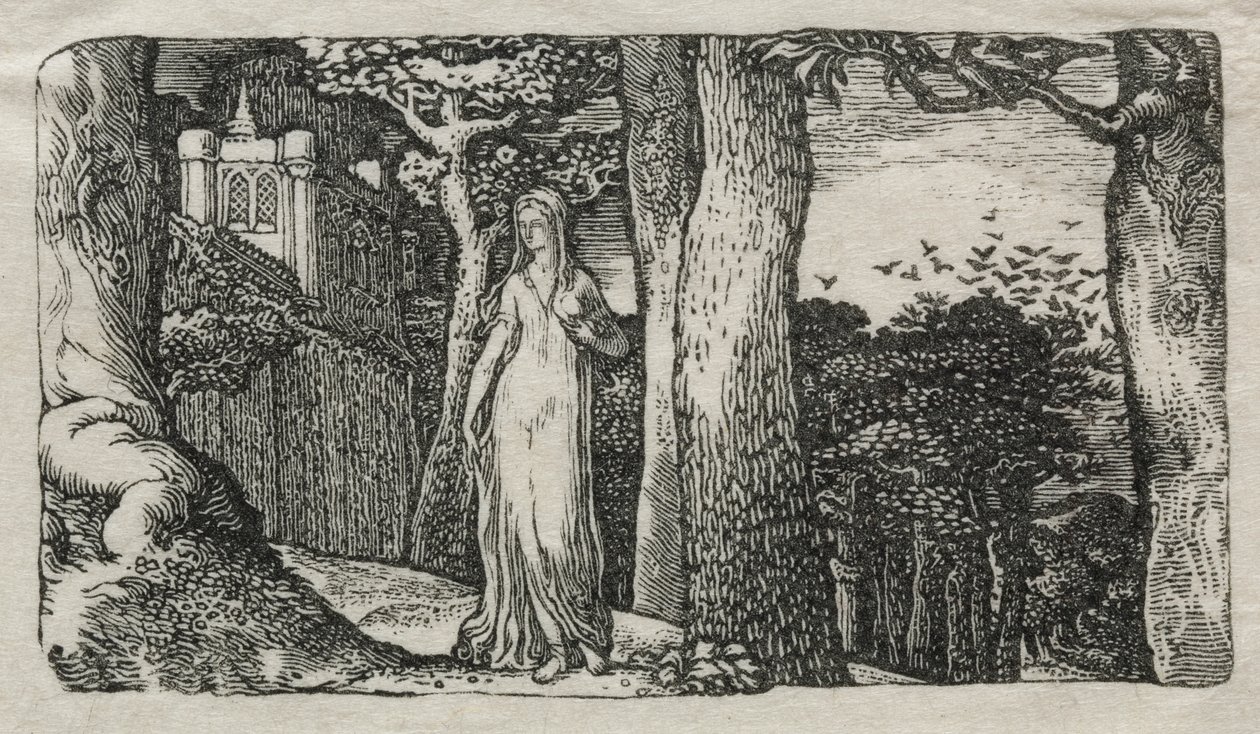 La signora e le torri da Edward Calvert