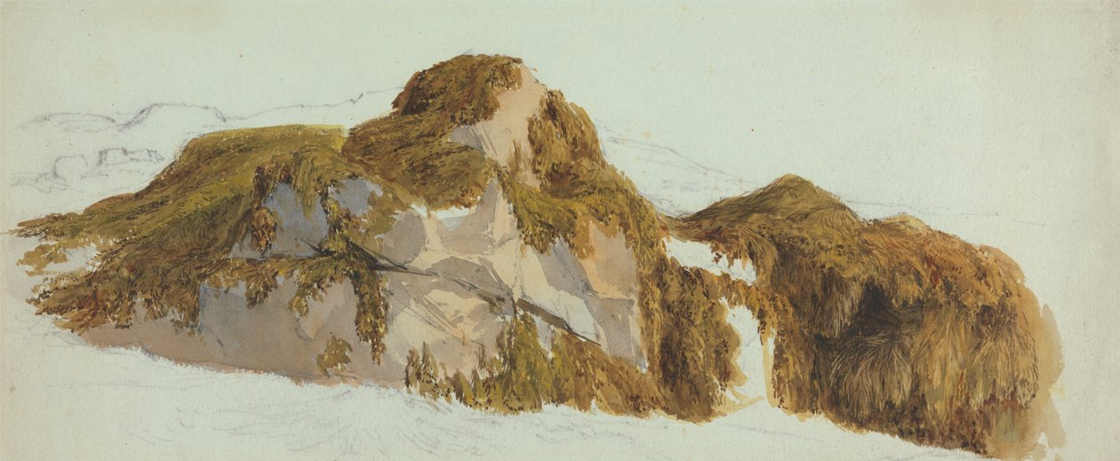 Studio di rocce coperte di alghe da Edward Duncan
