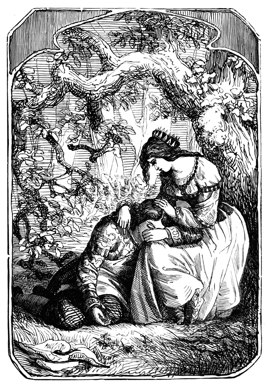 I Due Figli del Re, 1901 da Edward Henry Wehnert