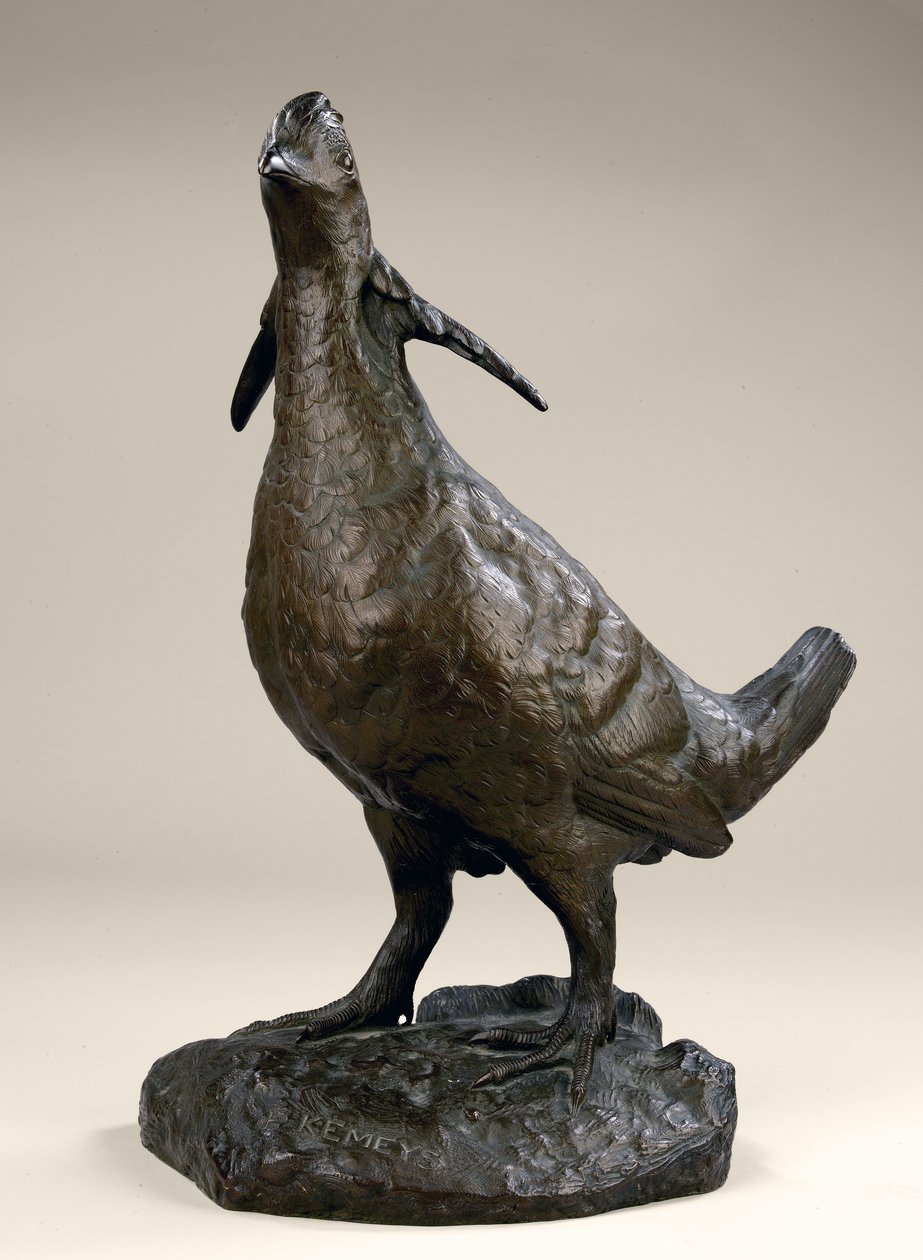 Pollo della prateria da Edward Kemeys
