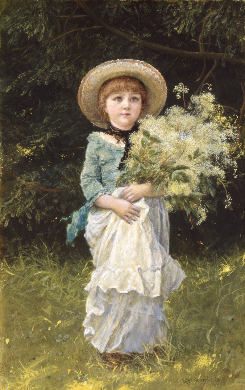 Filipendula da Edward Killingworth Johnson