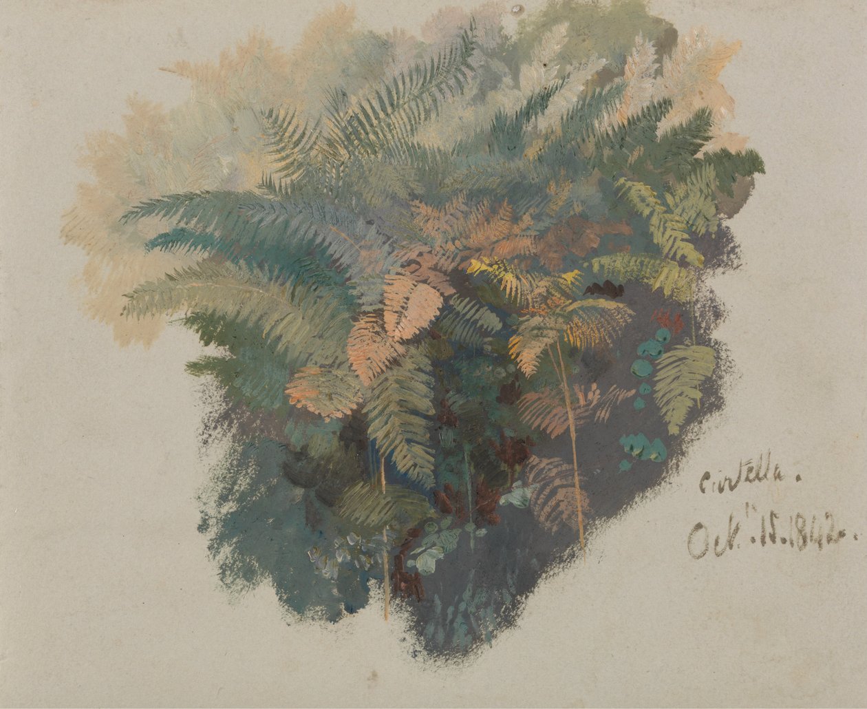 Uno studio sulle felci, Civitella da Edward Lear