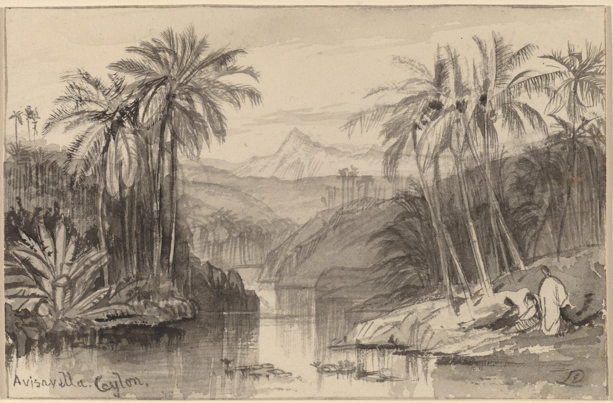 Avisavella, Ceylon da Edward Lear