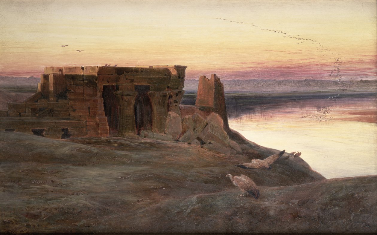 Tempio di Kom Ombo, Egitto da Edward Lear