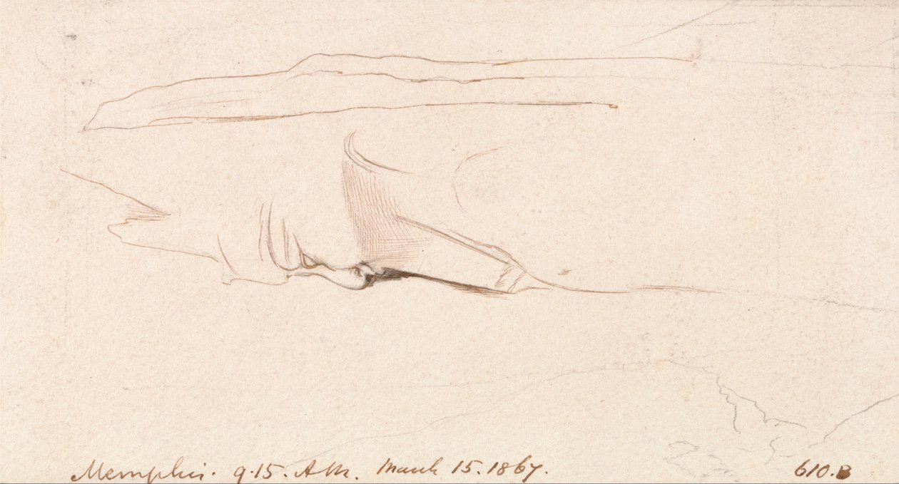 Memphis da Edward Lear