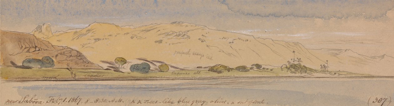 Vicino a Sabooa da Edward Lear