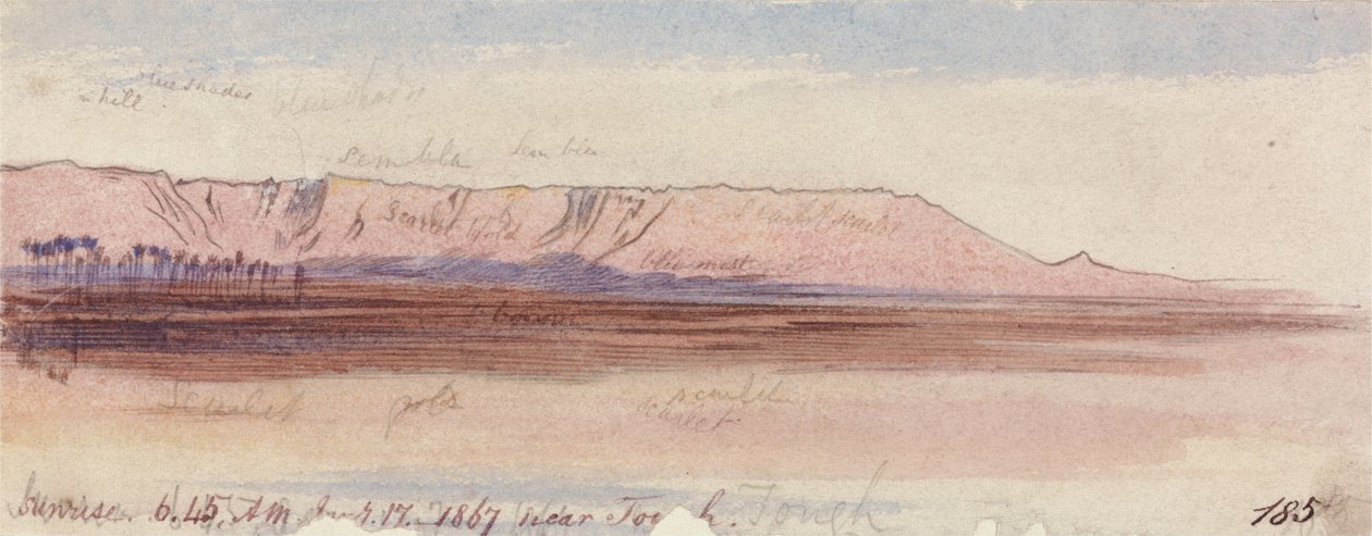 Vicino a Tough da Edward Lear