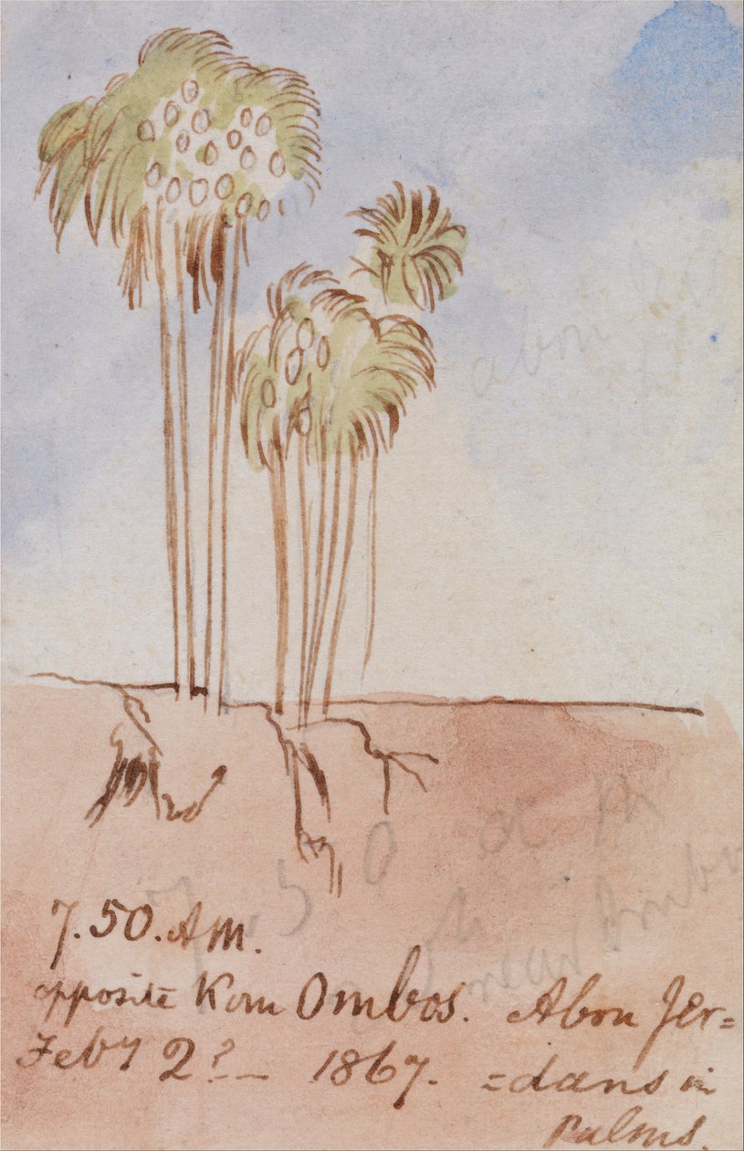 Di fronte a Kom Ombos Abu Jer da Edward Lear