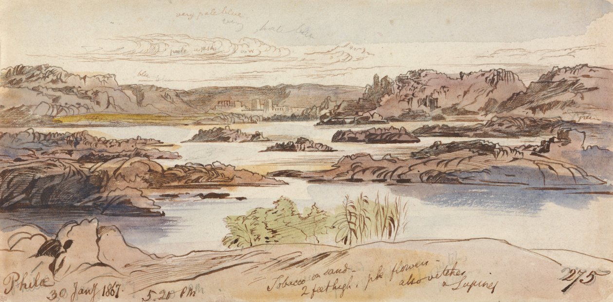 Philae, ore 17:20 del 30 gennaio 1867 (275) da Edward Lear