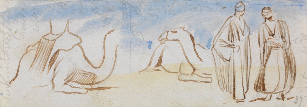 Studi su cammelli e uomini egiziani da Edward Lear