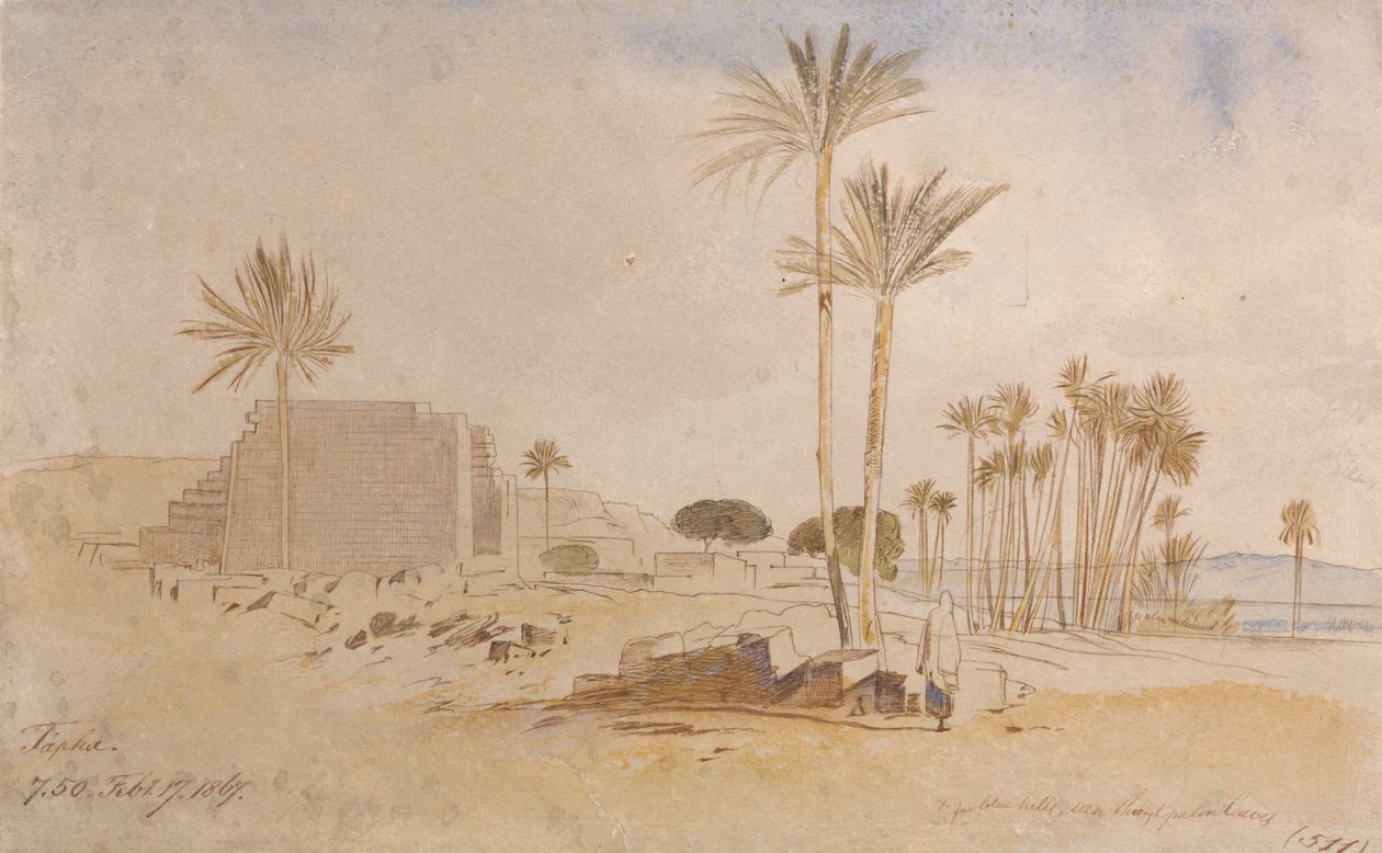 Tapha, ore 7:50 del 17 febbraio 1867 da Edward Lear