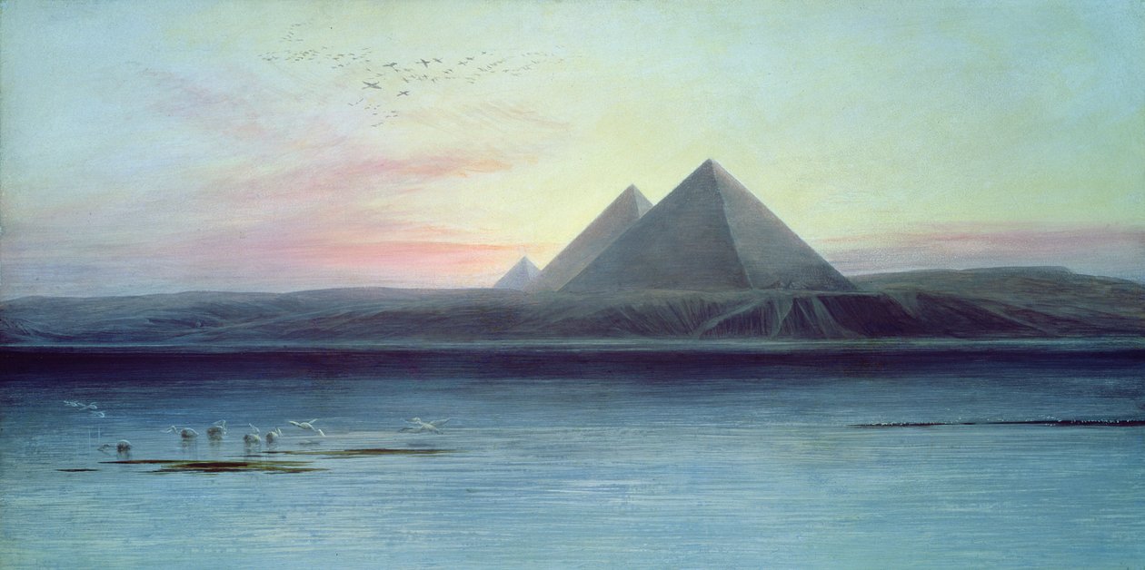 Immagine sconosciuta da Edward Lear