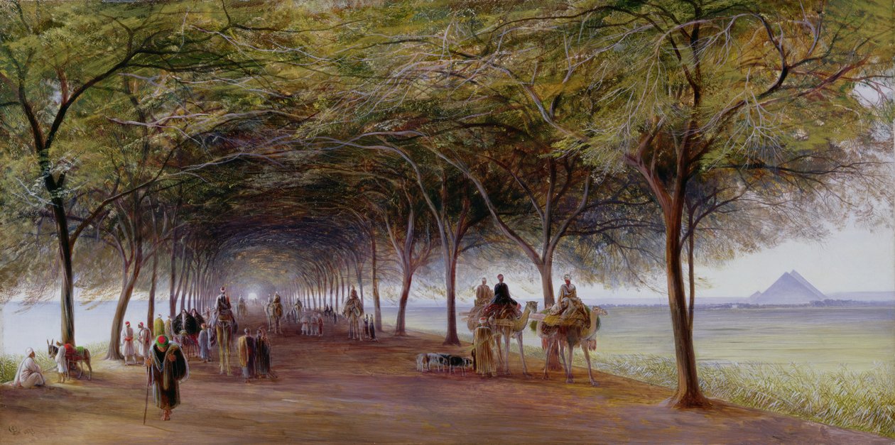 Veduta della Strada delle Piramidi, Giza da Edward Lear