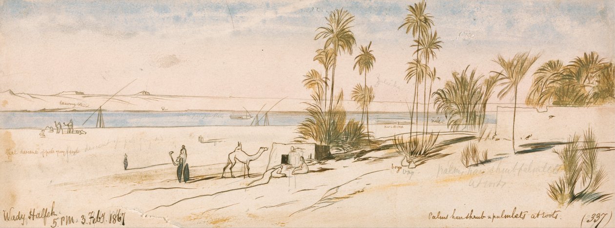 Svantaggi di Halfeh da Edward Lear