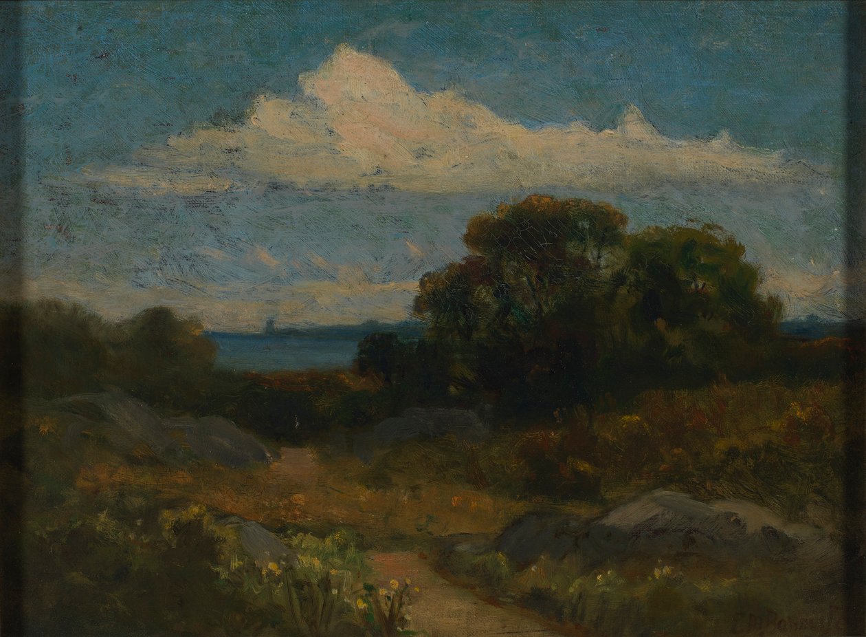 Paesaggio (alberi e rocce vicino al lago) da Edward Mitchell Bannister